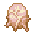 Cocoon (Kén Nhộng)